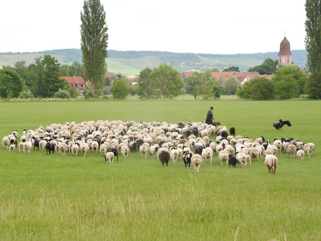 Ferienwohnungen Schuh Ipsheim Zewnętrze zdjęcie
